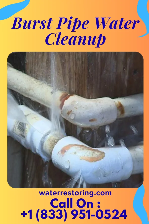 Burst Pipe Water Cleanup in West York, PA
